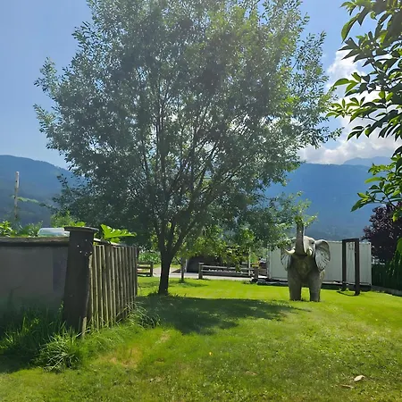 Fewo-mogli